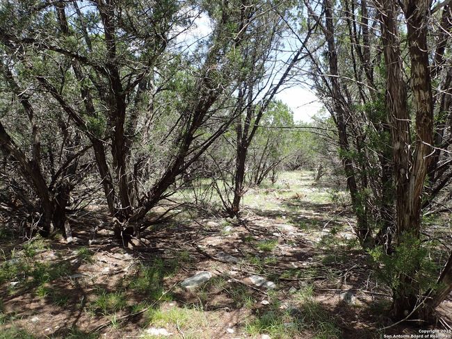 21 Tracie Trl, Home with 0 bedrooms, 0 bathrooms and null parking in Pipe Creek TX | Image 7