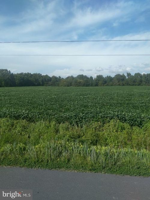 LOT 84 Mitchell Rd, BLOXOM, VA, 23308-2926 | Card Image