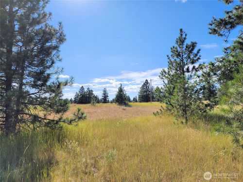 0 Bachelor Flats Dr N, Creston, WA, 99117 | Card Image