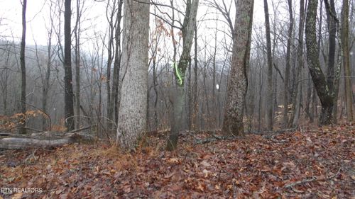 Lots 17&18 Savannah Dr, Smithville, TN, 37166 | Card Image