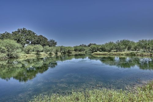 6823 Fawn Oaks Rdg, Iola, TX, 77861 | Card Image