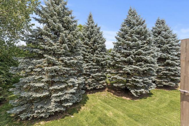 7371 Devin Ln, Townhouse with 3 bedrooms, 3 bathrooms and null parking in Shakopee MN | Image 31