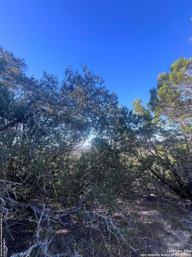 0 Cedar Hill Rd, Home with 0 bedrooms, 0 bathrooms and null parking in Pipe Creek TX | Image 10