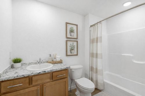 236 Newport Avenue, Rogersville, MO, 65742 | Card Image