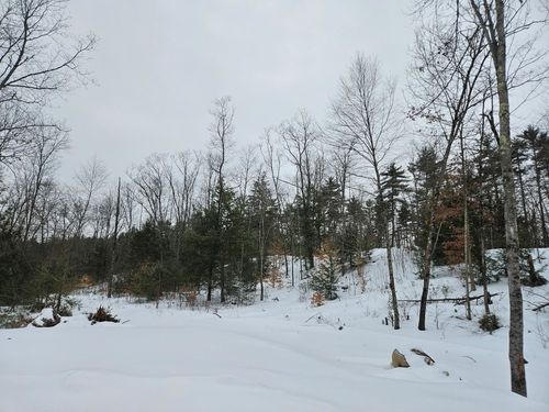 1 White Tail Way, Amherst, NH, 03031-2546 | Card Image
