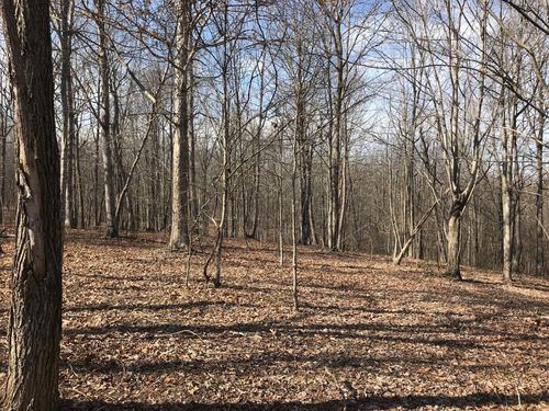 504 Wilderness Way, Dunlap, TN, 37327 | Card Image