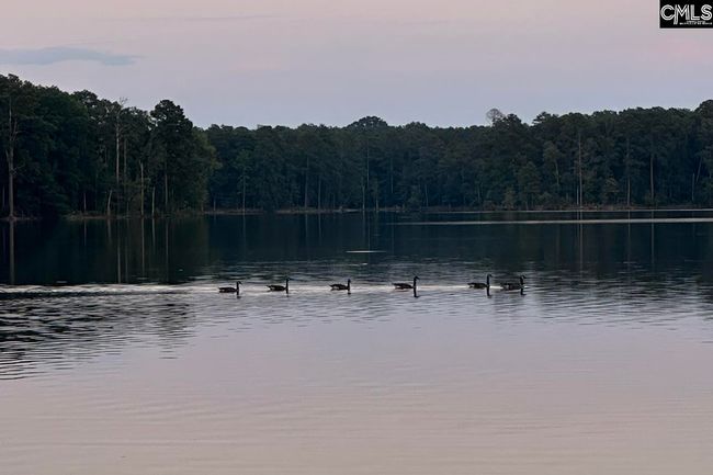 277 Cherry Cir, Home with 0 bedrooms, 0 bathrooms and null parking in Prosperity SC | Image 7