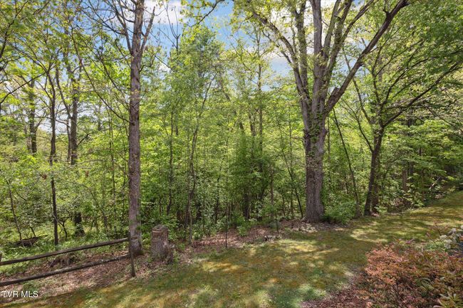20 - 20 Willowbrook Dr, Condo with 2 bedrooms, 2 bathrooms and null parking in Kingsport TN | Image 30