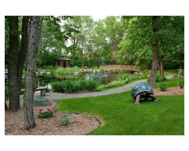 Frog Pond | Image 123