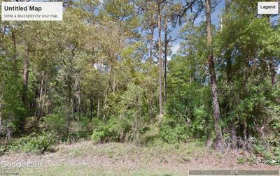 Ne 7 Th Loop, Home with 0 bedrooms, 0 bathrooms and null parking in Silver Springs FL | Image 2