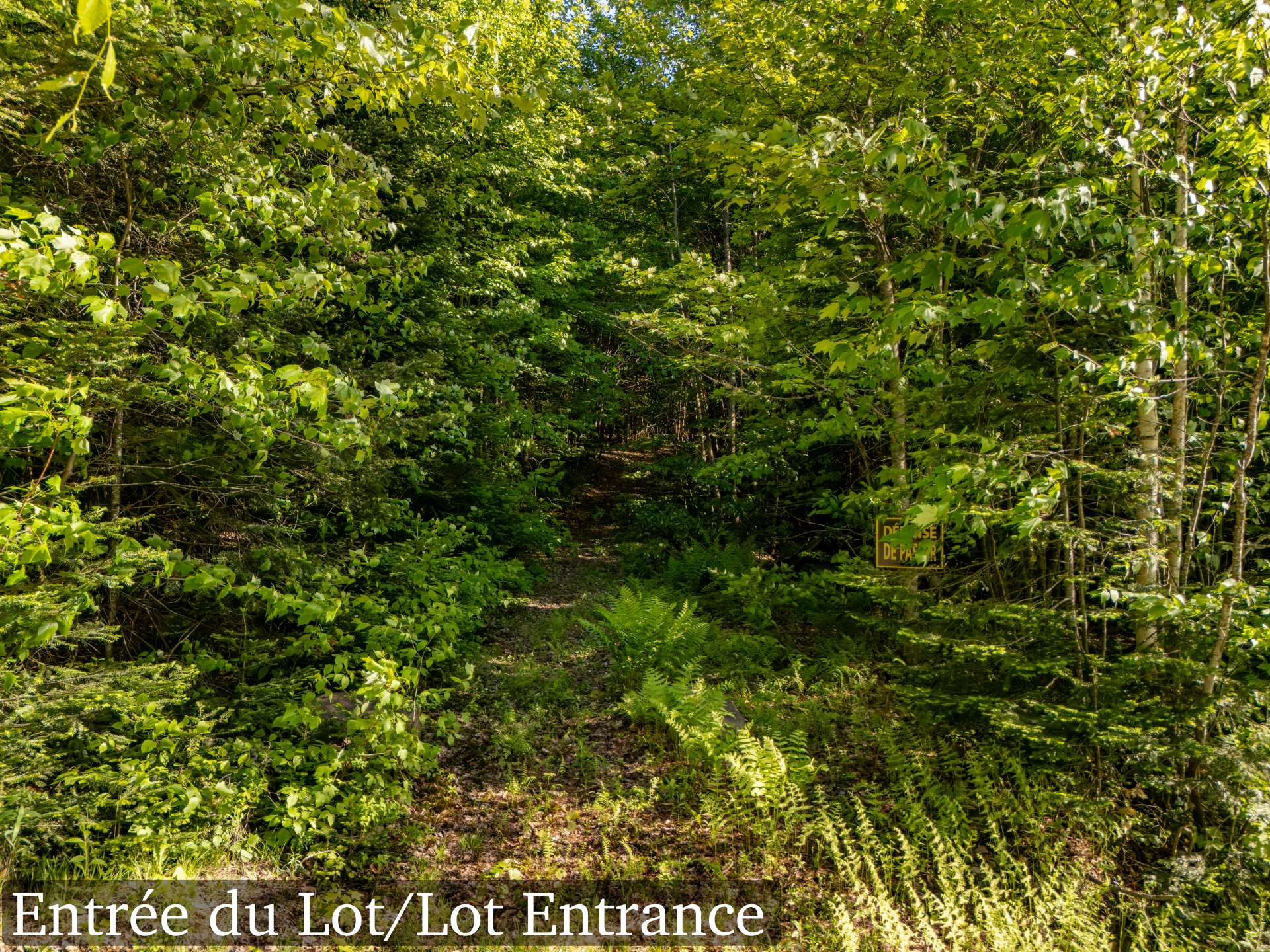 Land in Lac-Supérieur 4