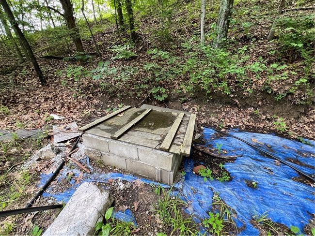 Artesian Spring | Image 15