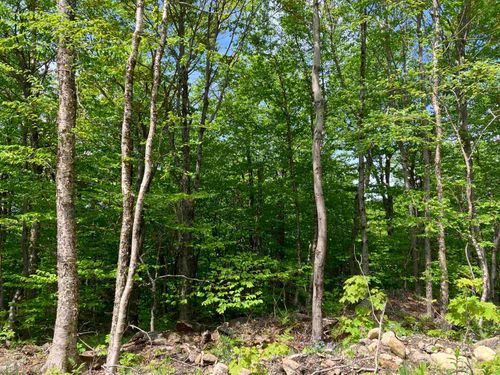 402 Fox Mountain Rd, Wilmington, VT, 05363 | Card Image