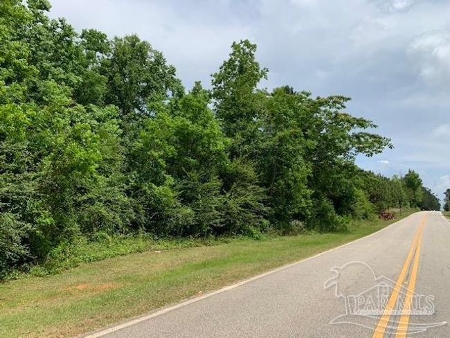 19600 Highway 43, Home with 0 bedrooms, 0 bathrooms and null parking in Grove Hill AL | Image 14