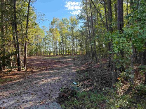 Tract 1 Wise Rd., Conway, SC, 29526 | Card Image