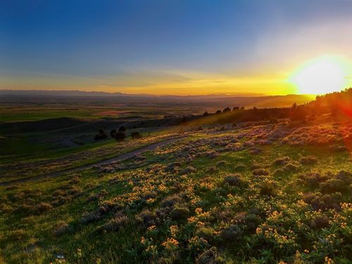 Four Bar Ranches Corbly Gulch Road, Belgrade, MT, 59714 | Card Image