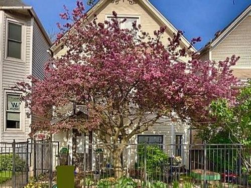 1-3745 N Seminary Ave, Chicago, IL, 60613-3817 | Card Image