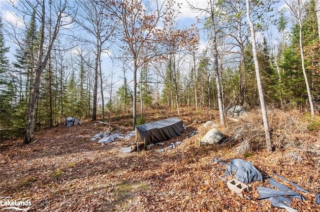2049 Hartsmere Rd, Home with 0 bedrooms, 0 bathrooms and null parking in Mcarthurs Mills ON | Image 4