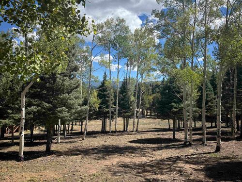 Lot 312 Via Del Rey, Angel Fire, NM, 87710 | Card Image