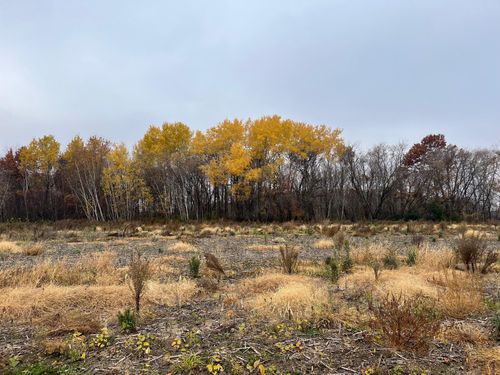 TBD (Lot 1) Brunswick Rd Ne, Stanchfield, MN, 55080 | Card Image