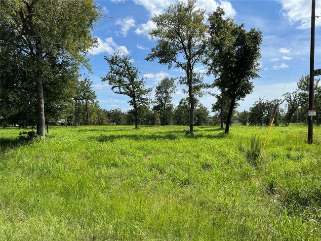 000 Hickory Loop, Home with 0 bedrooms, 0 bathrooms and null parking in Thornton TX | Image 7