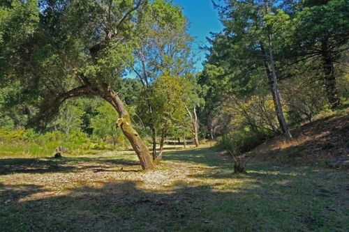 0 Coffeeberry Dr, Boulder Creek, CA, 95006 | Card Image