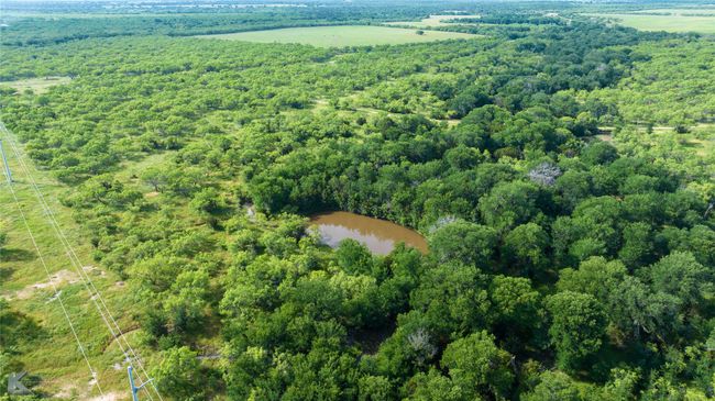 Drone / aerial view of a heavily wooded area and a nearby body of water | Image 15