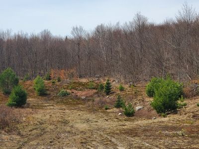 Lot 8 Daigneau Trail, Home with 0 bedrooms, 0 bathrooms and null parking in Merrillsville NY | Image 2