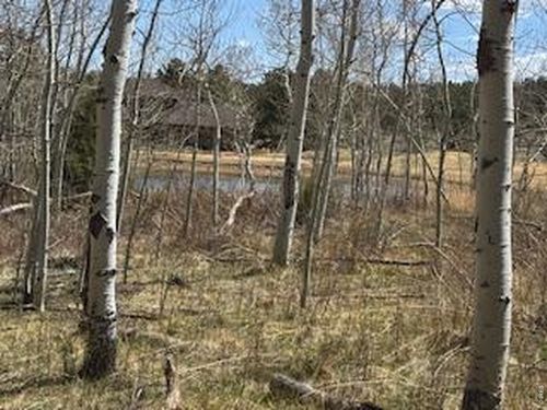 400 Fox Acres Dr W, Red Feather Lakes, CO, 80545 | Card Image