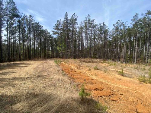 LOT 29 County Road 341, Iuka, MS, 38852-7038 | Card Image