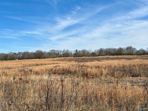 2-1.5 ac Lot 2 Strange Road, Horton, AL, 35980 | Card Image