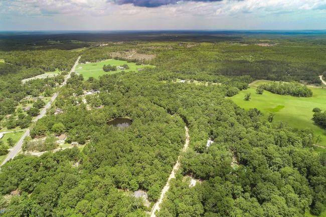 Lot 15 Blue Creek Rd, Home with 0 bedrooms, 0 bathrooms and null parking in Ponce De Leon FL | Image 8