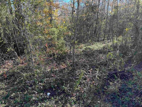 644 Balmorea Dr, Bullard, TX, 75757-9072 | Card Image