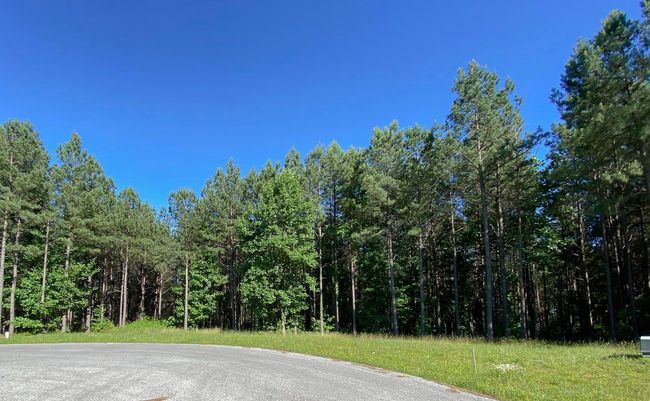 80 High Point Ln, Home with 0 bedrooms, 0 bathrooms and null parking in Jasper TN | Image 25