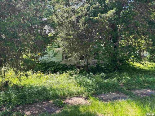 301 N 5th St, Elkville, IL, 62932-1053 | Card Image