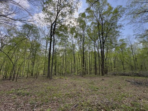0 Valley Rd, Fairview, TN, 37062 | Card Image