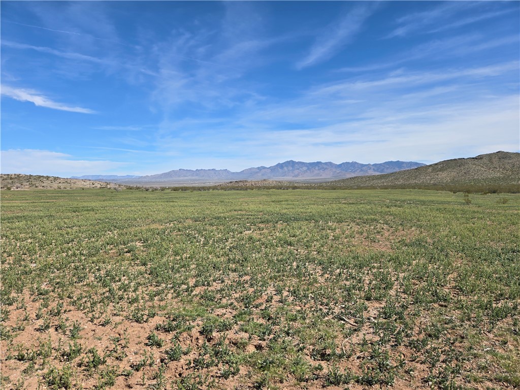 Land in Dolan Springs