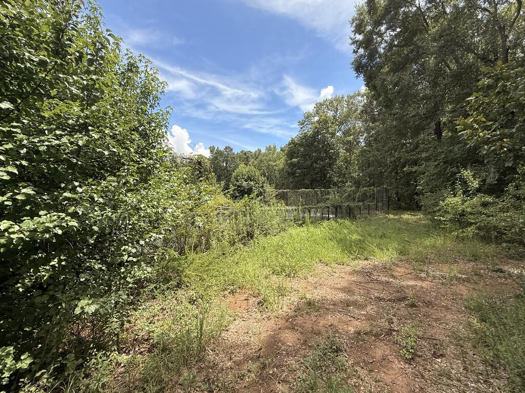 Land in Macon 2