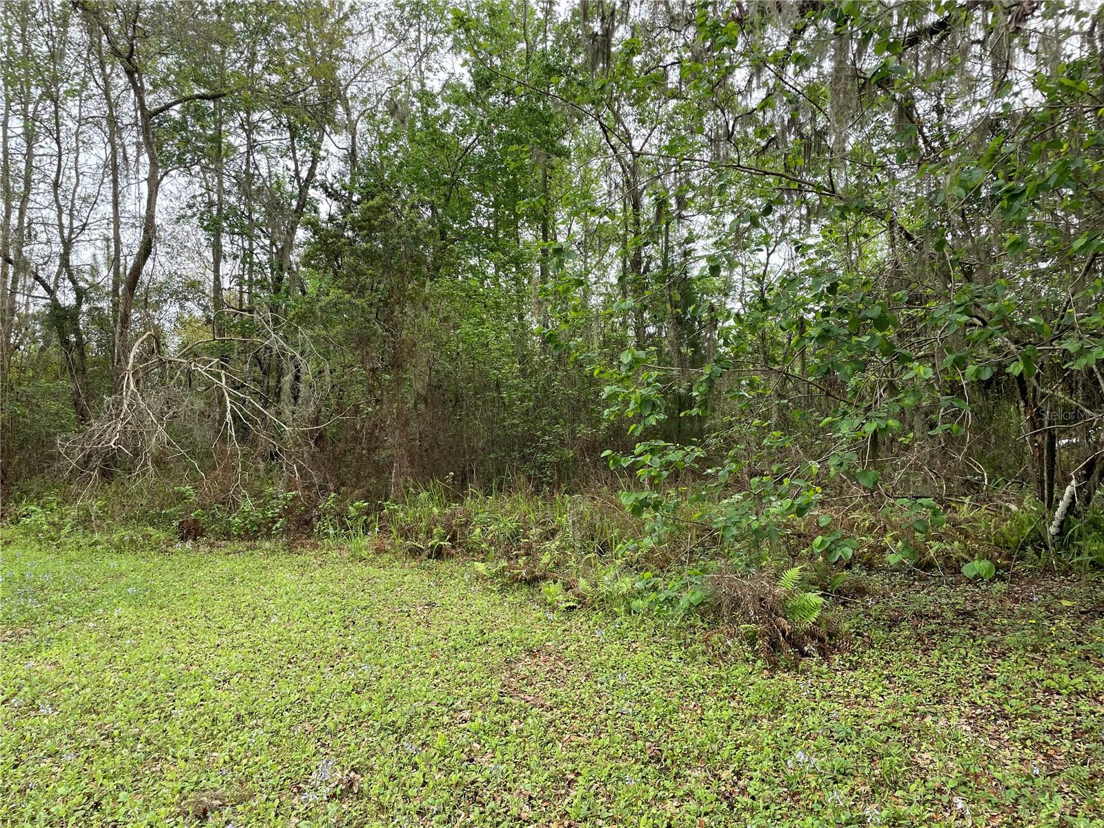 Land in BROOKSVILLE 2