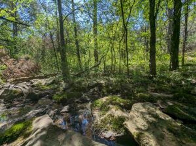 27B & 28B Shelby Lane, Home with 0 bedrooms, 0 bathrooms and null parking in Cecil AR | Image 41