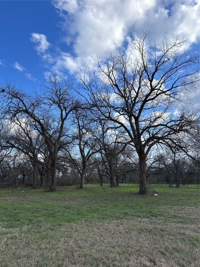 View of yard | Image 9