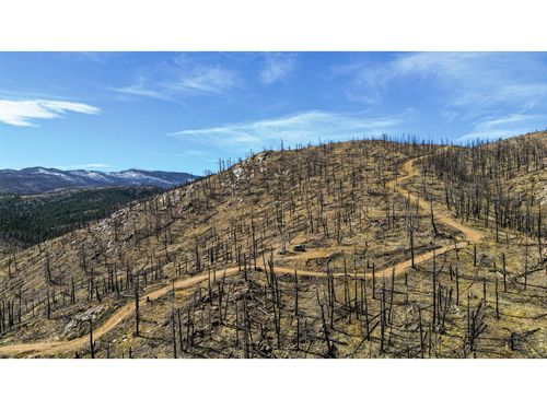 3600 Moondance Way, Bellvue, CO, 80512 | Card Image