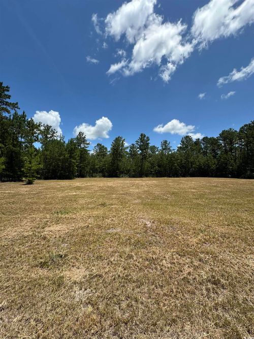 218 Samworth Loop, Georgetown, SC, 29440 | Card Image