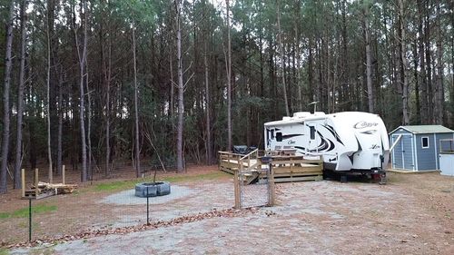 2.11 Acres Boggy Branch Rd., Nichols, SC, 29581 | Card Image