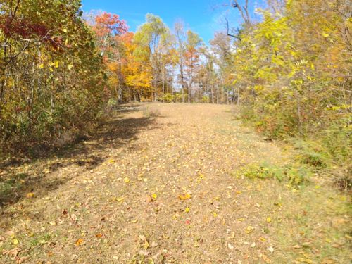 0 New Hope Tower Rd, Orlando, KY, 40460 | Card Image