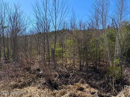 37 Moss Rd, Lewis, NY, 12950-2302 | Card Image