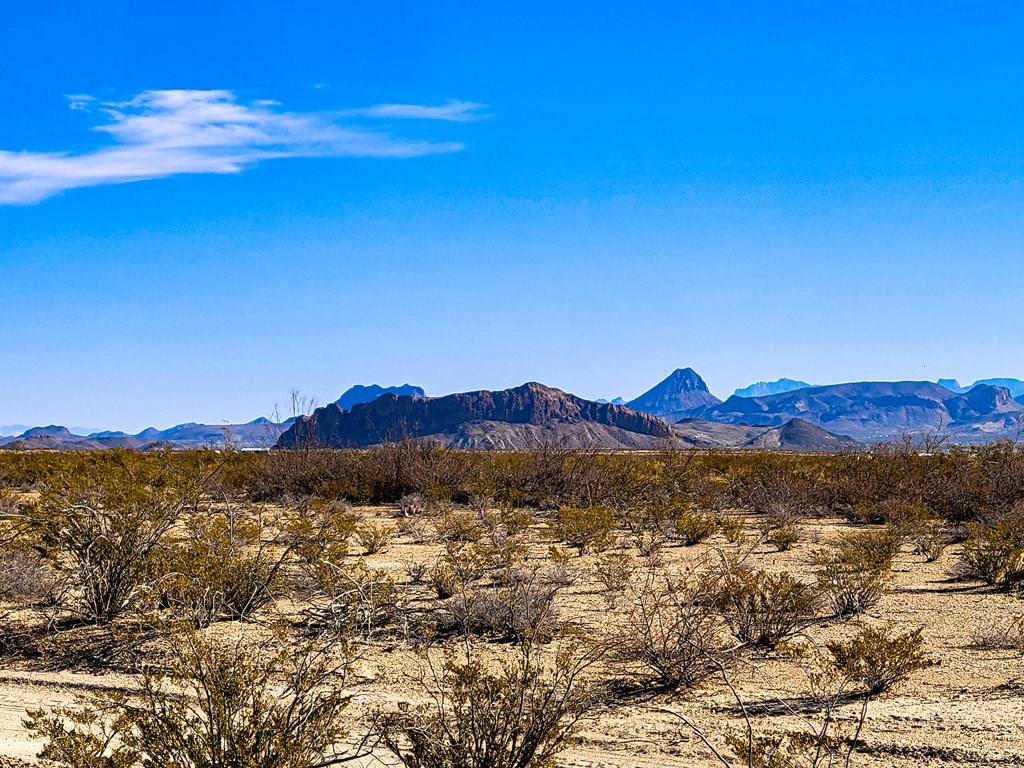 Land in Terlingua 2