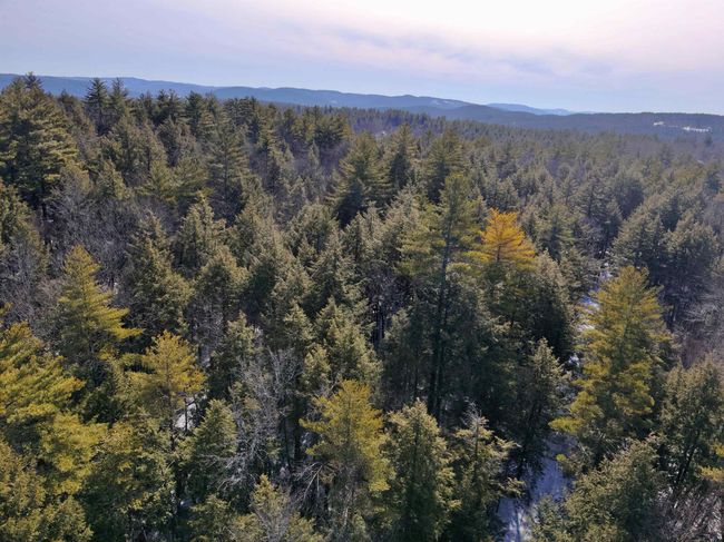 1 - 0 Old Ledge Road, Home with 0 bedrooms, 0 bathrooms and null parking in Westminster VT | Image 11