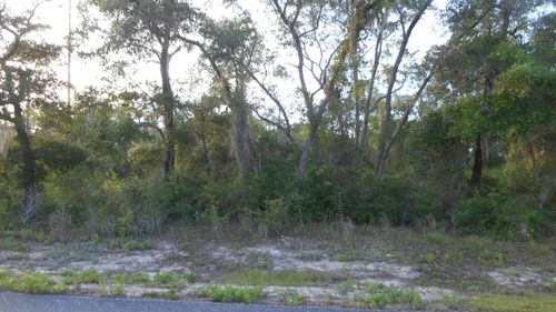 Lot 26 Pelican Way, Ochlockonee Bay, FL, 32346 | Card Image