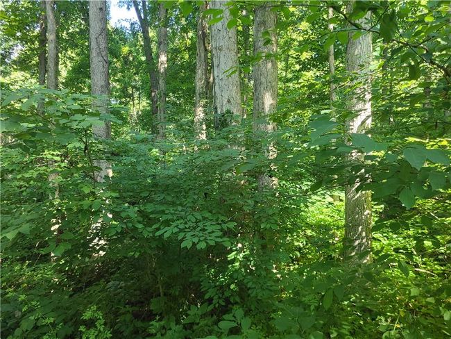 5508 W James Rd, House other with 3 bedrooms, 3 bathrooms and null parking in Connersville IN | Image 50